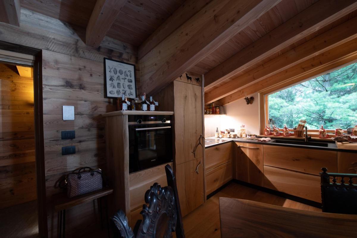 Chalet Degli Abeti By Ama Val Di Fassa كامبيتيلو دي فاسا المظهر الخارجي الصورة